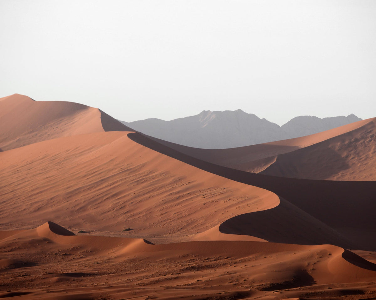 Desert Adventure